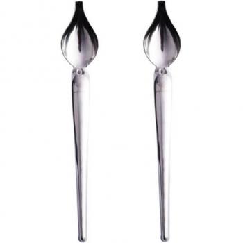 Stainless Steel Culinary Drawing Spoon Set