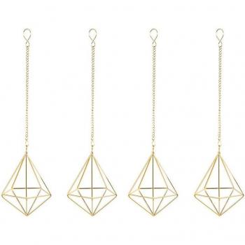 Geometrisch Luchtplant Rack