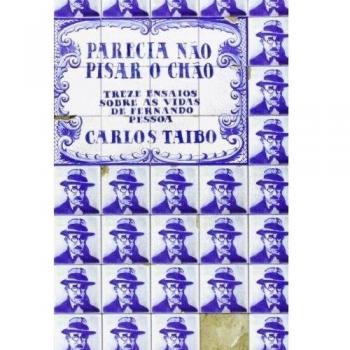 Parecia nao pisar o chao.treze ensaios sobre as vi