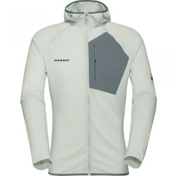 Mammut Aenergy Light ML Hoodie Herren in Silver Sage-Strata