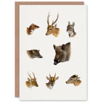 Artery8 Wild Animal Illustration Card, Richard Lydekker – White