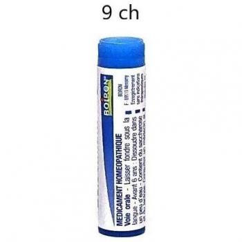 Thuya Occidentalis dose 9ch