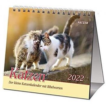 Katzen 2022