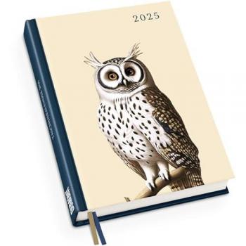 DUMONT Terminkalender Taschenkalender Eule 2025