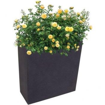 Pflanzkasten anthrazit für Sichtschutz und Hochbeet 59,5 cm