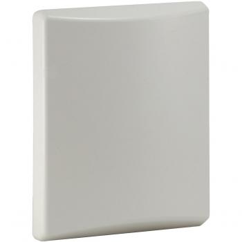 LevelOne WAN-2121 Richtantenne N-Typ 12 dBi für WLAN, Innen/Außen