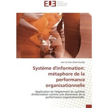 Systeme d'information: metaphore de la performance organisationnelle