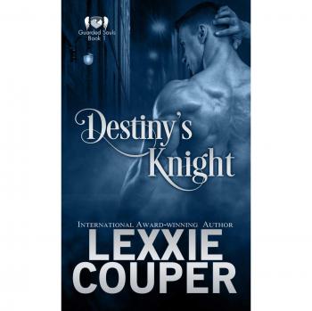 Destiny's Knight (Guarded Souls, Band 1)