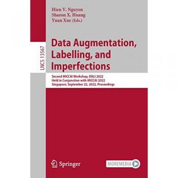 Data Augmentation Labelling and Imperfections