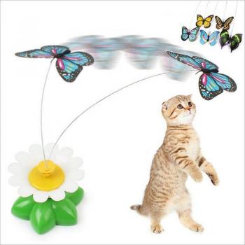 Chaton Papillon Twist