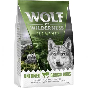 Wolf of Wilderness Elements Untamed Grasslands, che