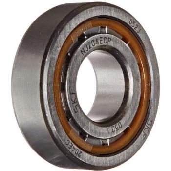 Cuscinetto SKF NJ 204 ECP