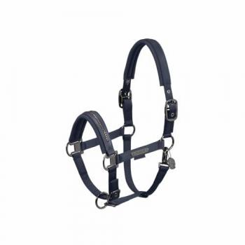 Eskadron Double Pin Glossy Crystal blau