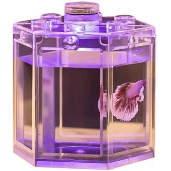 Ecologisch mini aquariaal landschap in acryl met LED verlichting, ideaal voor tropische vissen, op één stuk
