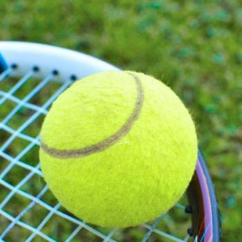 Aire Libre Tenis Cricket: Pelota Multifuncional para Deportes y Mascotas