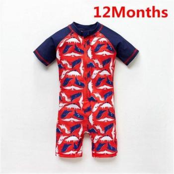 Honeyzone Boys Fish Pattern Swimwear 12M-8Y