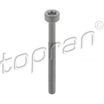 Bullone supporto iniettore 0019902607