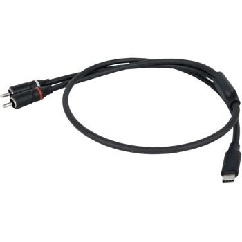 DAP FL110 USB‑C‑zu‑2 RCA 1,50 m – Cinch‑Audio­kabel