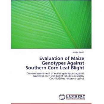 Evaluation of Maize Genotypes Against Southern Corn Leaf Blight: Disease assessment of maize genotypes against southern corn leaf blight