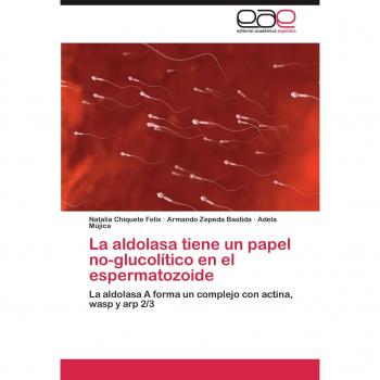 La aldolasa tiene un papel no-glucolítico en el espermatozoide: La aldolasa A forma un complejo con actina, wasp y arp 2/3