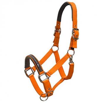 Faja de Cabeza Nylon Memphis Schockemöehle
