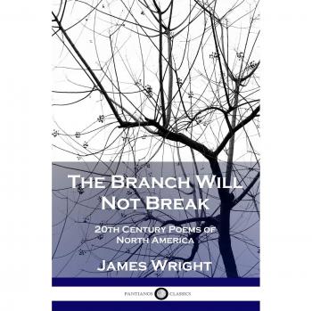 The Branch Will Not Break