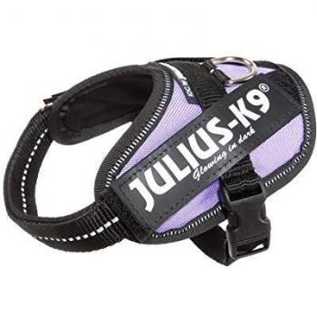 Julius-K9 IDC Power Dog Harness