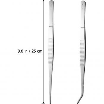 Stainless Steel Feeding Tongs for Snakes and Lizards (Set of 2)