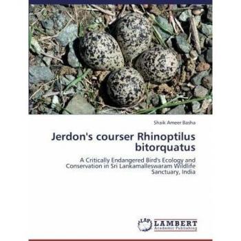 Jerdon's courser Rhinoptilus bitorquatus