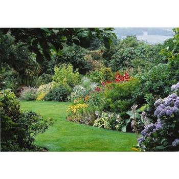 Blooming Heritage Shrub Bundle – 100 Large Plants in 3L Green Pots