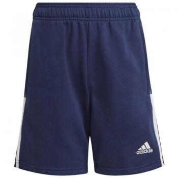 Adidas Tiro 21 Kinder Trainingsshorts