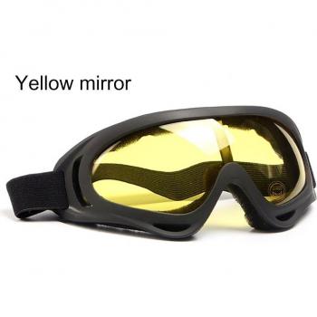 1 PC Ski and Motorcycle Goggles