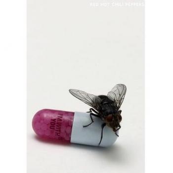 RED HOT CHILI PEPPERS