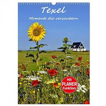 Texel