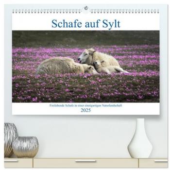 Schafe auf Sylt (hochwertiger Premium Wandkalender 2025 DIN A2 quer) Kunstdruck in Hochglanz