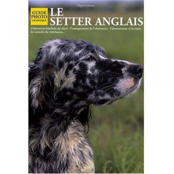 Le Setter anglais