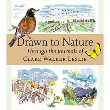 Drawn to Nature