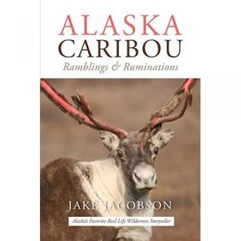 Alaska Caribou: Ramblings & Ruminations
