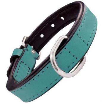 Collier cuir rembourré pour chien turquoise