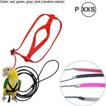 Outdoor Parrot Harness and Leash for Scarlet Macaws
