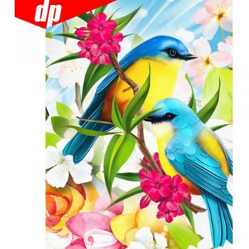 Art de Diamant 5D Oiseau 20X30