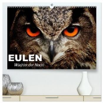 Premium Wandkalender 2024 Eulen. Wächter der Nacht