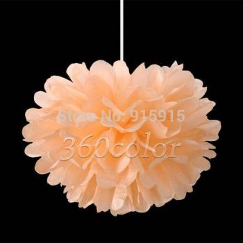 10 Teile Aprikose 8 Zoll Seidenpapier Pom Poms für kreative Dekorationen