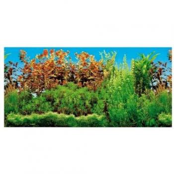 Tank Rear Wall Panel, Double-Faced, Freshwater Compatibility, 600mm x 300mm