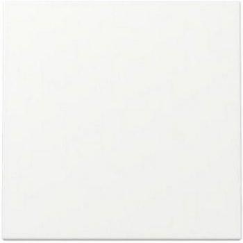 Matt Finish Rocker Switch Plate