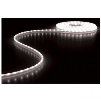 Ruban lumineux LED blanc froid 6500K 300 LED 5m 12V