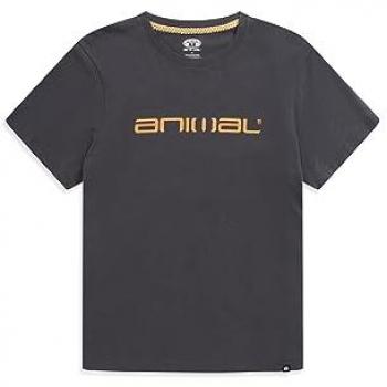 Herren T-Shirt Grau