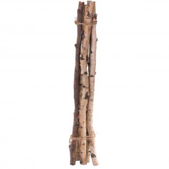 Rami Betulla Legno Bianchi Dino 3x2,3x60 cm – Design Colorato