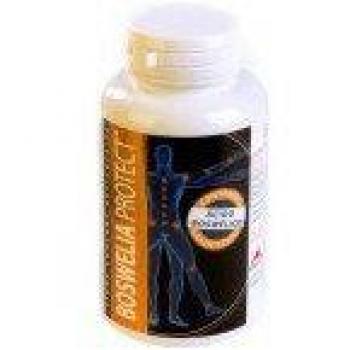 Boswellia Extract 500mg