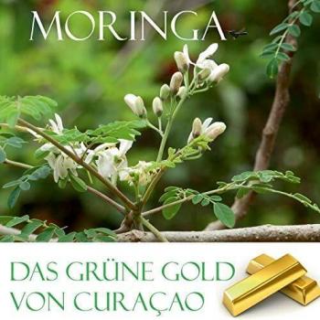 Das grüne Gold von Curacao: Moringa